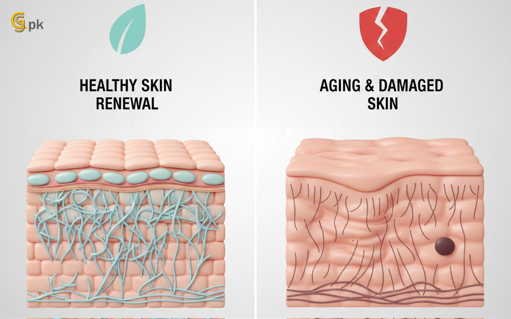 Top Benefits of Retinol for Skin